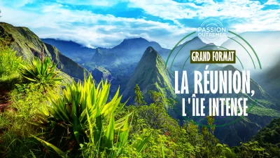 Passion Outremer – Grand format : La Réunion, l’île intense