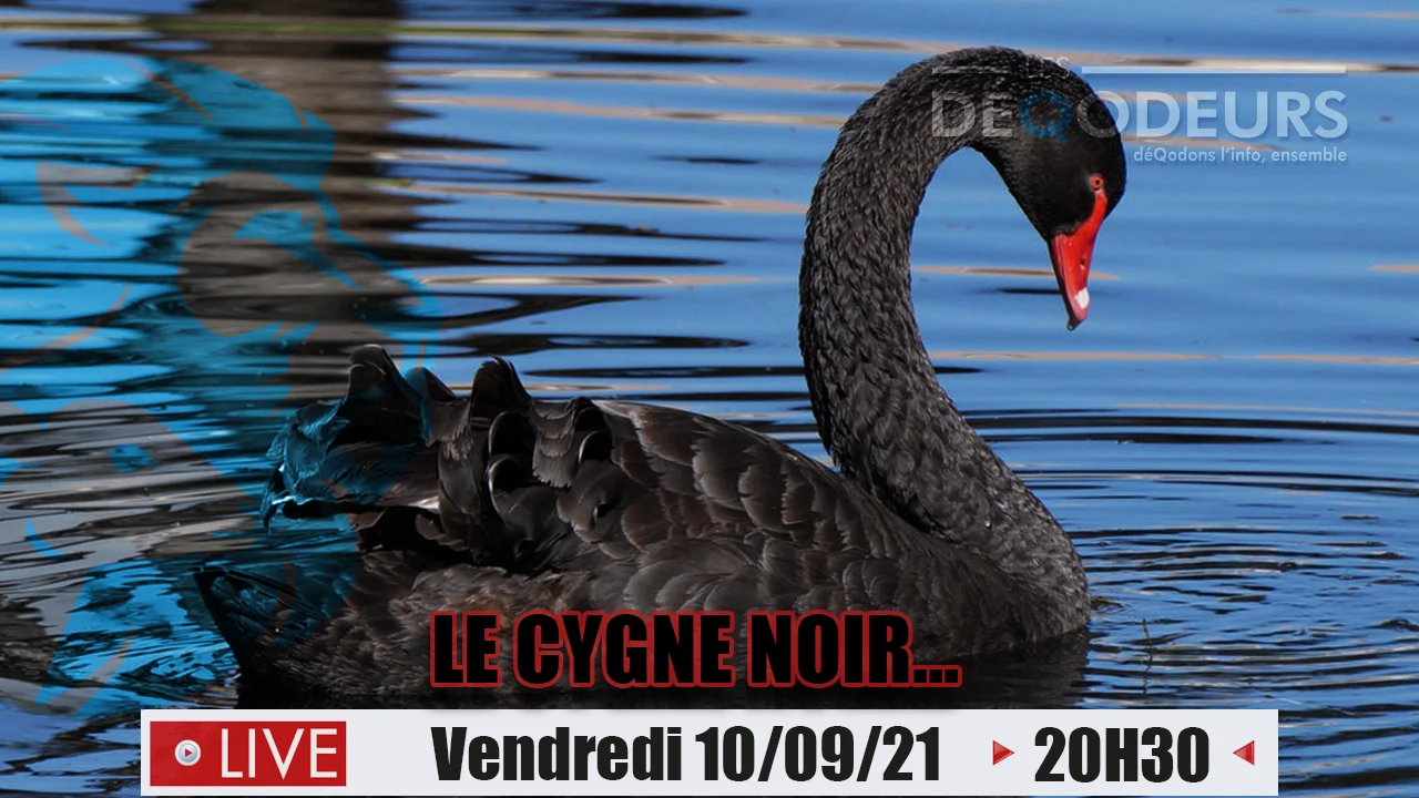 Le Cygne Noir… – 10/09/21