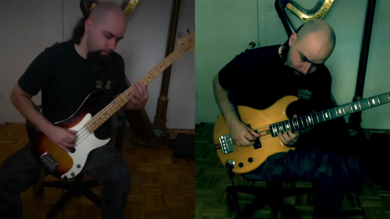 Bjork – Army Of Me Bass cover