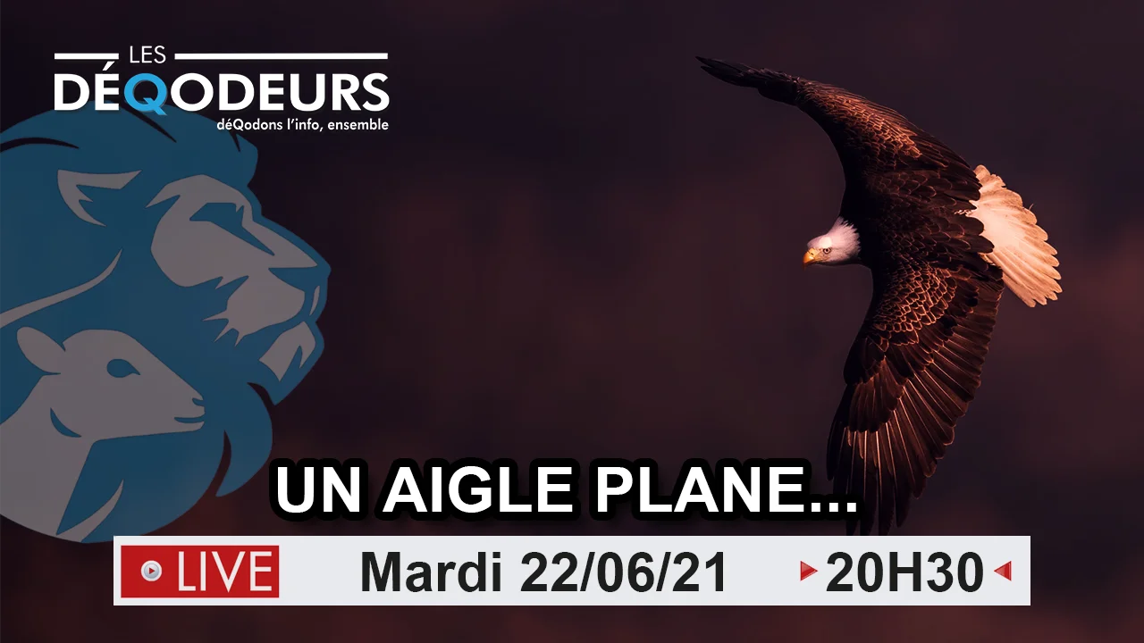 Un Aigle Plane… – 22/06/2021