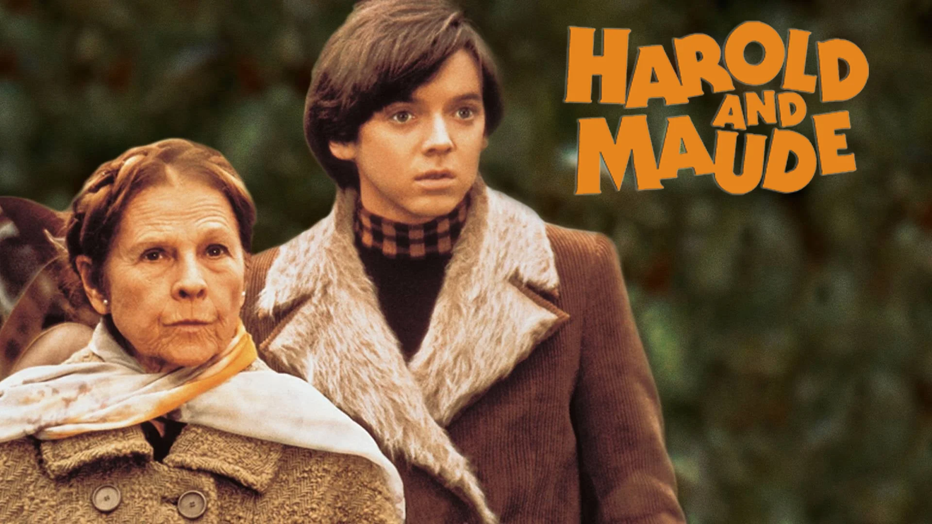 Harole et Maude | 1971