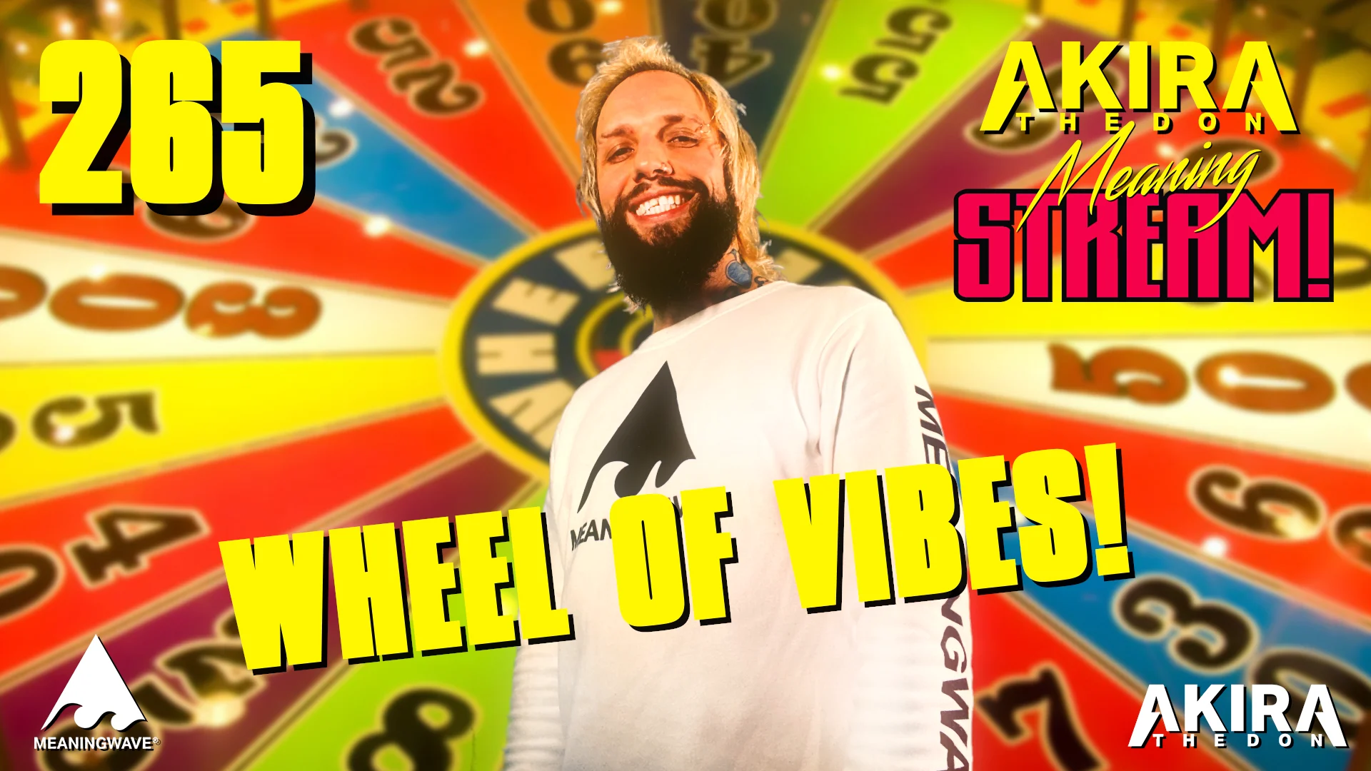 WHEEL OF VIBES!!!! ? MEANING STREAM 265